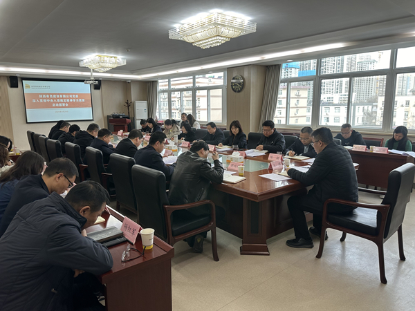 公司黨委召開(kāi)深入貫徹中央八項(xiàng)規(guī)定精神學(xué)習(xí)教育啟動(dòng)部署會(huì)